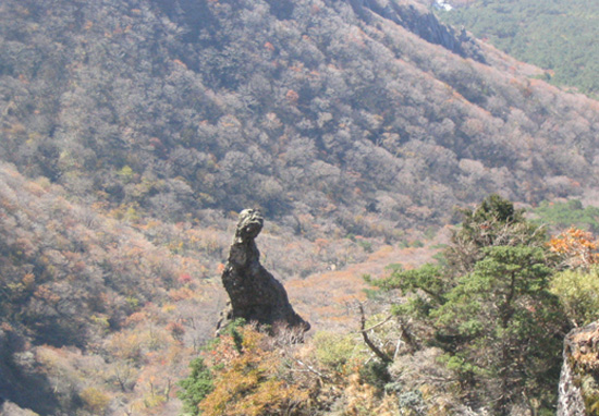 융단위에 서 있는 성모마리아상 처럼 